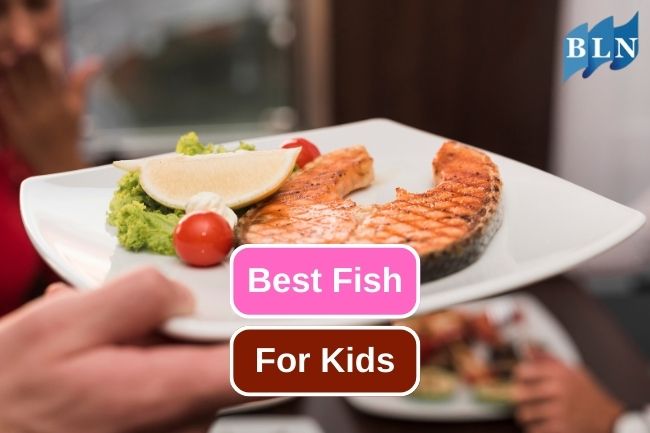 7 Nutrient-rich Marine Fish for Kids' Growth